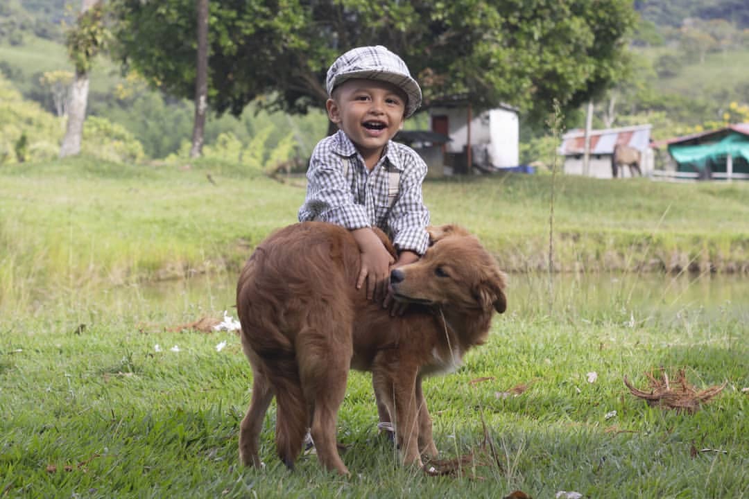 Fotografía original: retrato infantil con perro y edición cálida