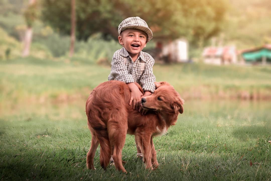 Escena final: retrato infantil con perro y edición cálida
