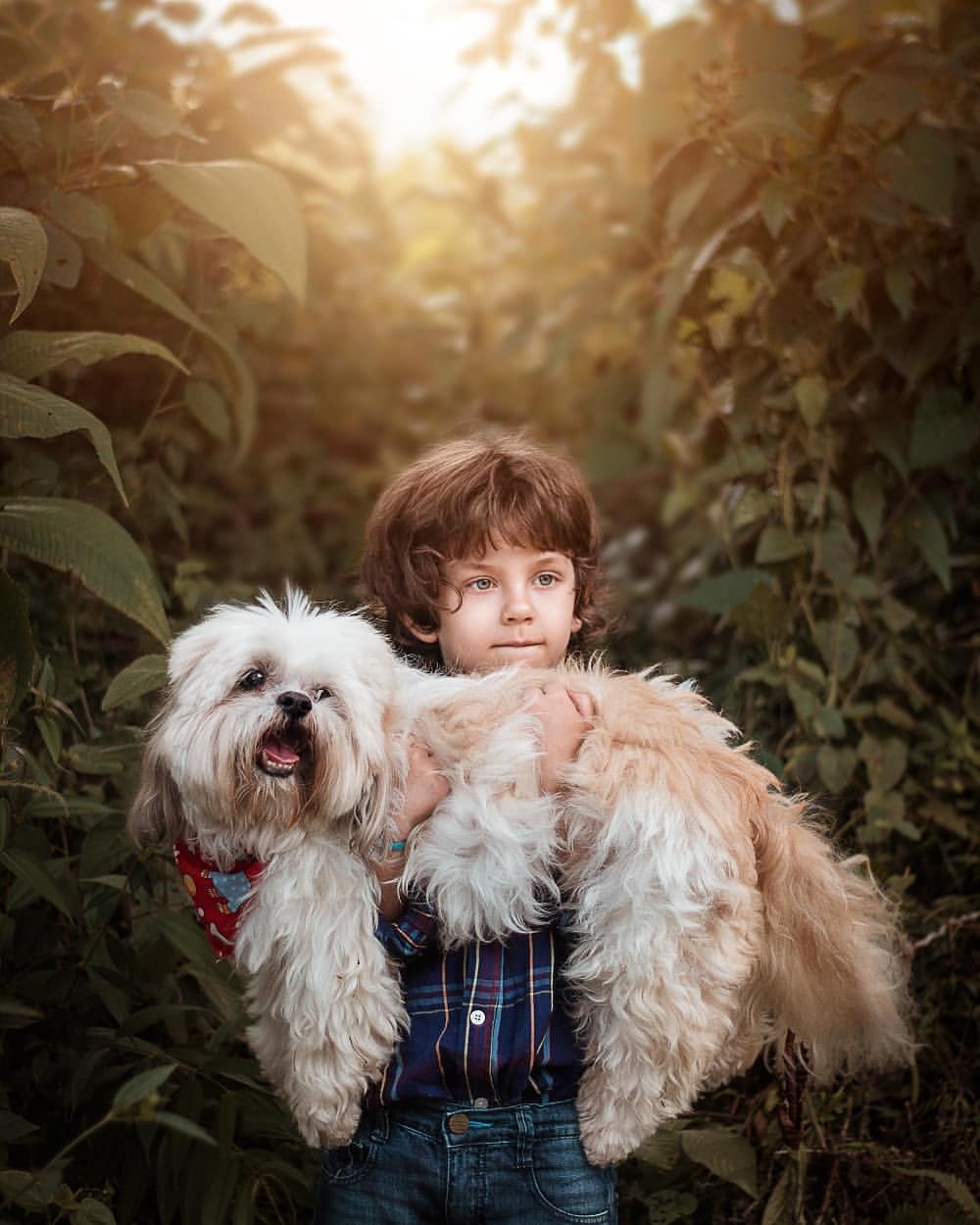 Escena final: retrato de niño con perros y acabado cinematográfico